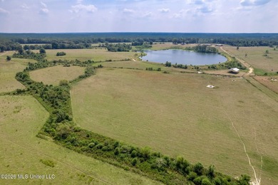 Beautiful 12+/- acres of cleared pastureland, ready for your - photo 4