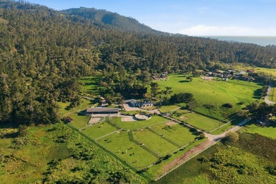 Spanning 8.5 idyllic acres overlooking Point Lobos and Monastery - photo 2