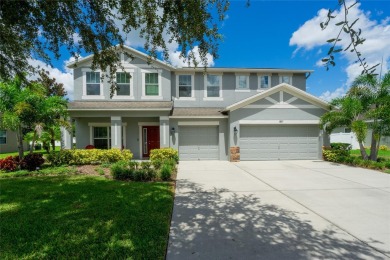 Long Pond - Hillsborough County Home For Sale in Dover Florida