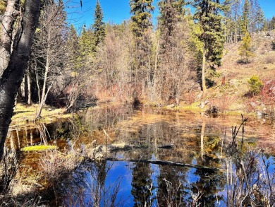 Lake Acreage For Sale in Curlew, Washington