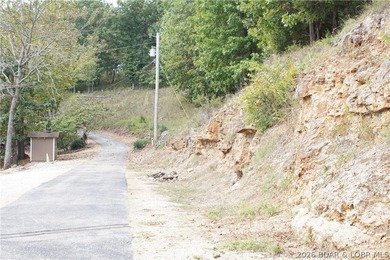 List price is below appraisal, NEW ROOF COMING SOON! Sitting at - photo 43