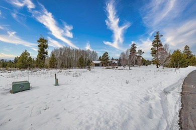 Discover the perfect opportunity to build your dream home on - photo 9