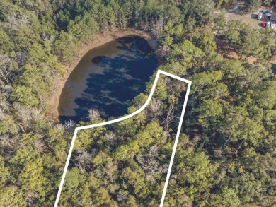 (private lake, pond, creek) Lot For Sale in Ponce De Leon Florida