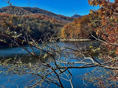 Nestled within the coveted Nantahala Highlands subdivision, this - photo 1