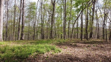 Build your beautiful home away from it all on this 5.2 acres - photo 2
