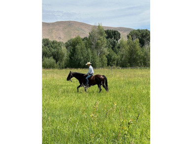 With its rare combination of 426 acres, 15 parcels, and the - photo 13