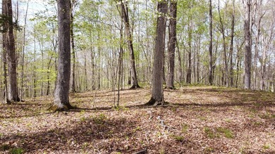 Build your beautiful home away from it all on this 5.2 acres - photo 3
