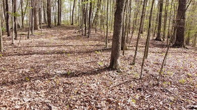 Build your beautiful home away from it all on this 5.2 acres - photo 5