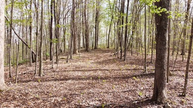 Build your beautiful home away from it all on this 5.2 acres - photo 6