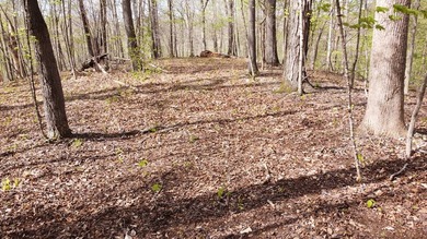 Build your beautiful home away from it all on this 5.2 acres - photo 7