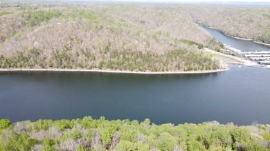 Build your beautiful home away from it all on this 5.2 acres - photo 8