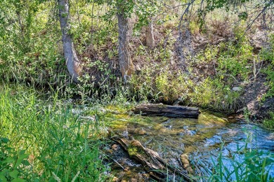With its rare combination of 426 acres, 15 parcels, and the - photo 19