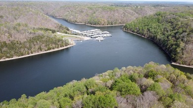 Build your beautiful home away from it all on this 5.2 acres - photo 9