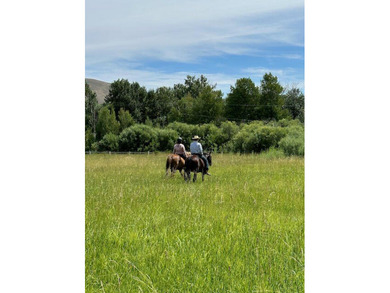 With its rare combination of 426 acres, 15 parcels, and the - photo 21