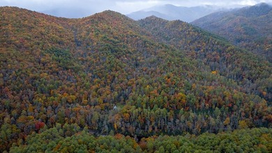 A RARE FIND. A large undeveloped wooded tract only 5 minutes - photo 1