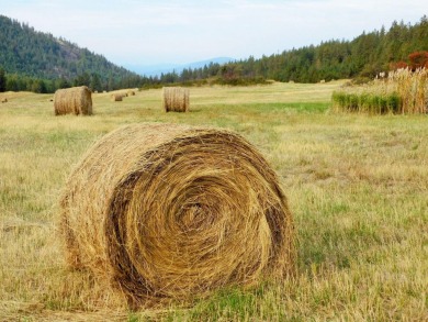 Lake Acreage For Sale in Gifford, Washington