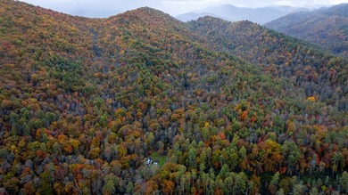 A RARE FIND. A large undeveloped wooded tract only 5 minutes - photo 2