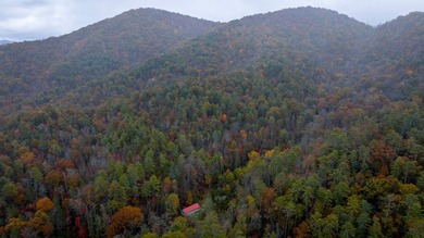 A RARE FIND. A large undeveloped wooded tract only 5 minutes - photo 3