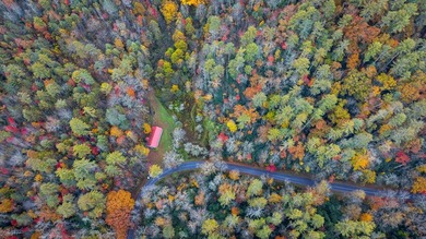 A RARE FIND. A large undeveloped wooded tract only 5 minutes - photo 4