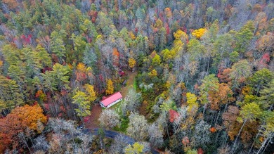 A RARE FIND. A large undeveloped wooded tract only 5 minutes - photo 6