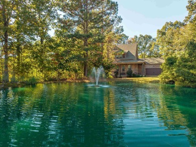 Lake Catherine Home For Sale in Hot Springs Arkansas