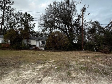 Banks Lake Lot For Sale in Lakeland Georgia