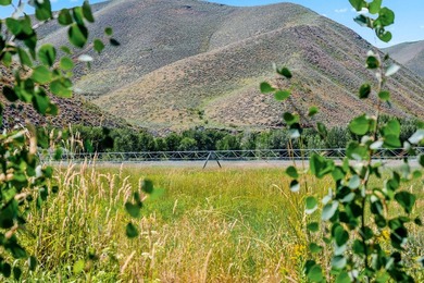 With its rare combination of 426 acres, 15 parcels, and the - photo 39
