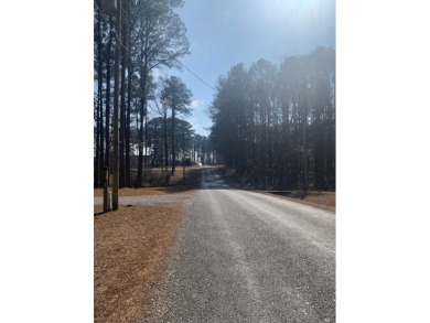 PRICE REDUCTION Off Water Lot With Lake View - photo 3