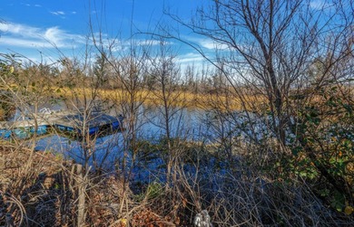 Great waterfront lot located on the gated community of Lake - photo 3