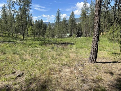 Lake Lot For Sale in Kettle Falls, Washington