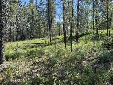 Lake Lot For Sale in Kettle Falls, Washington