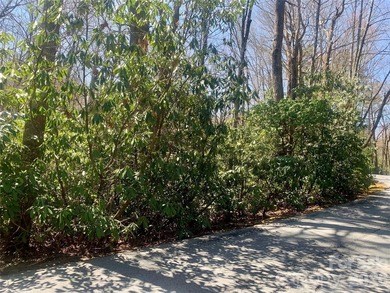 Discover the perfect lot in the desirable Indian Lakes Community - photo 2