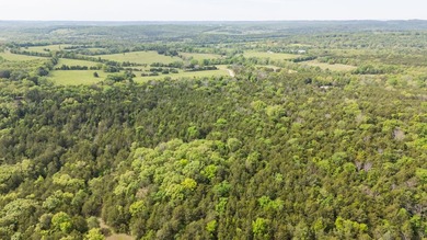 Positioned just minutes from Bull Shoals Lake, this 36 +/- acre - photo 15