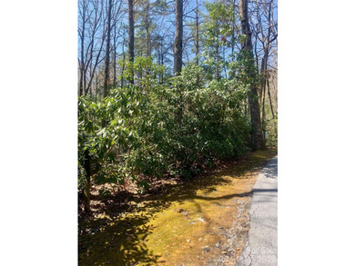 Discover the perfect lot in the desirable Indian Lakes Community - photo 6