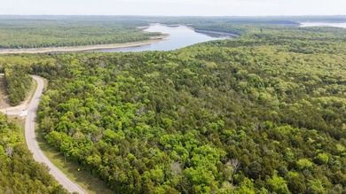 Positioned just minutes from Bull Shoals Lake, this 36 +/- acre - photo 19