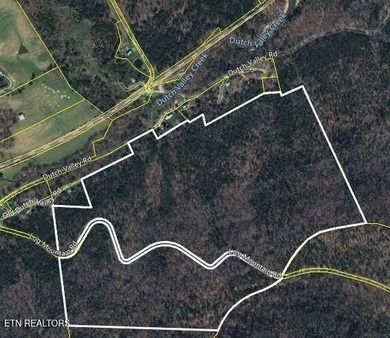 This expansive 96.5-acre of undeveloped timberland offers a rare - photo 1