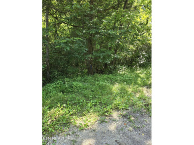 This expansive 96.5-acre of undeveloped timberland offers a rare - photo 4