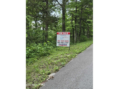 This expansive 96.5-acre of undeveloped timberland offers a rare - photo 5