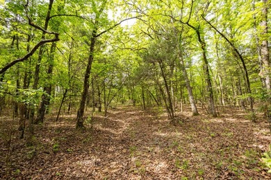 Positioned just minutes from Bull Shoals Lake, this 36 +/- acre - photo 33