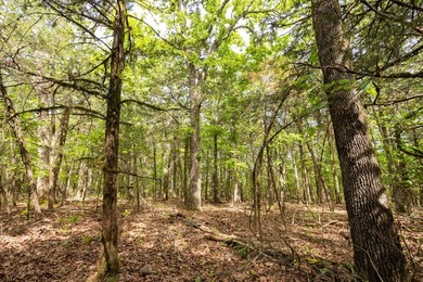 Positioned just minutes from Bull Shoals Lake, this 36 +/- acre - photo 45