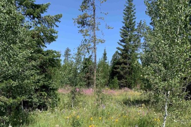 Lake Lot For Sale in Donnelly, Idaho
