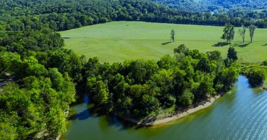 22 acres of private, waterfront land on Table Rock Lake with - photo 2