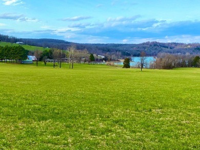 22 acres of private, waterfront land on Table Rock Lake with - photo 3