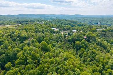 Location, location, location! Just minutes from Dale Hollow Lake - photo 6