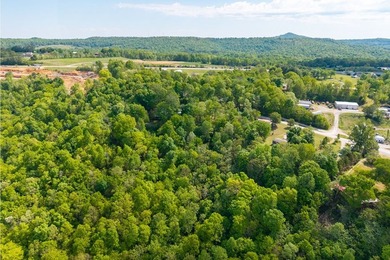 Location, location, location! Just minutes from Dale Hollow Lake - photo 7
