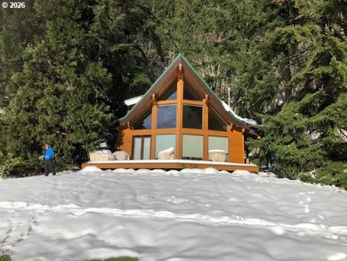 A Handcrafted Lakeside Haven Like No Other. This one-of-a-kind - photo 4