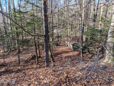 Lake Lot For Sale in Lake Ariel, Pennsylvania