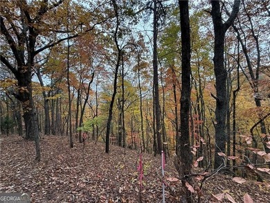 (private lake, pond, creek) Acreage For Sale in Ranger Georgia