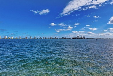 Experience exceptional waterfront living in this beautifully - photo 40