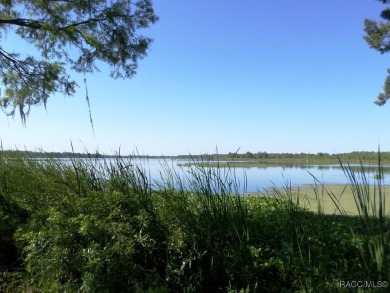 Lake Rousseau Acreage For Sale in Inglis Florida